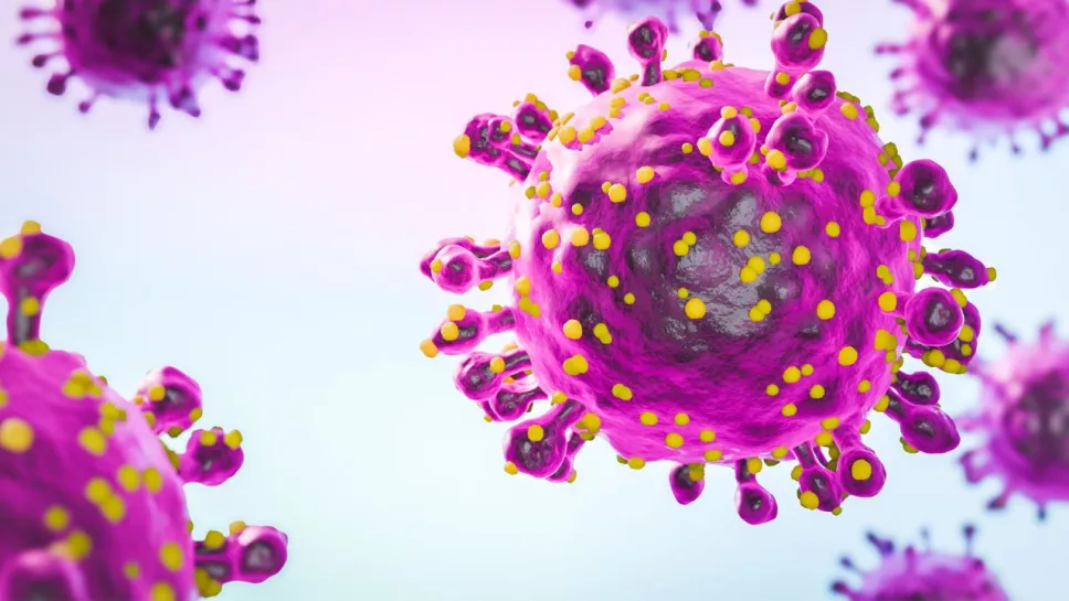 OPS llama a vigilar el virus Oropouche en América Latina