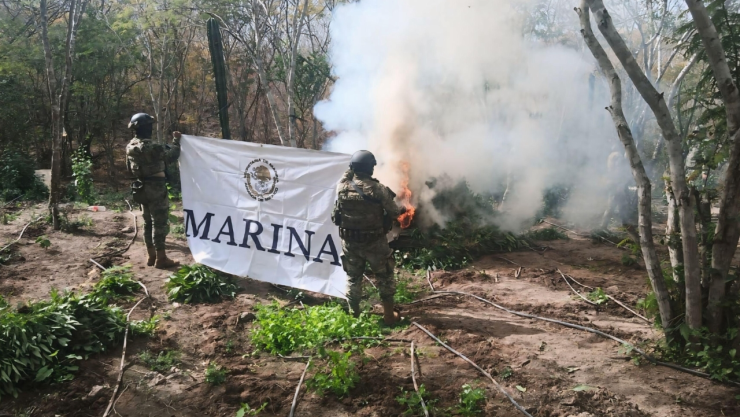 detienen delincuentes