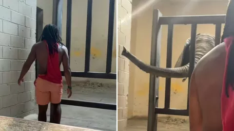 Puso en peligro su vida por atención en redes sociales, ahora enfrenta cargos.jpg