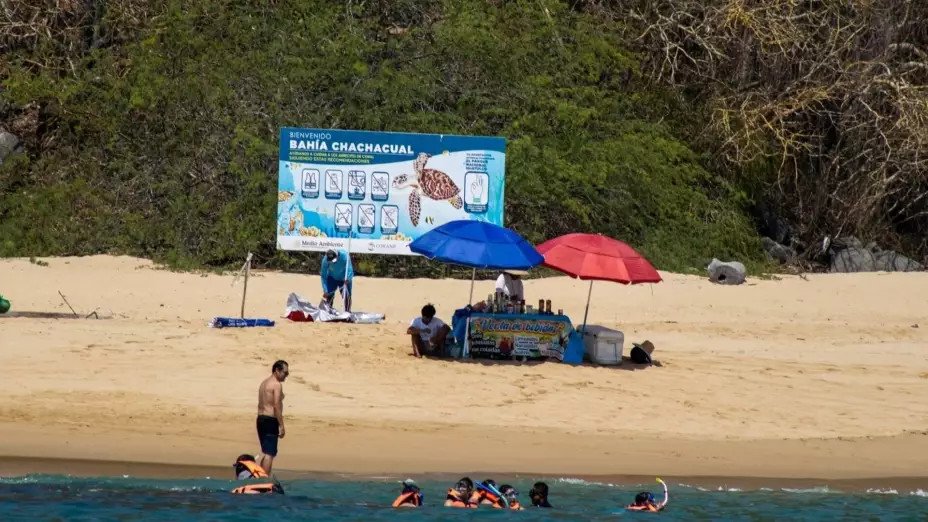 WhatsApp Image 2026-04-15 at 12..jpg