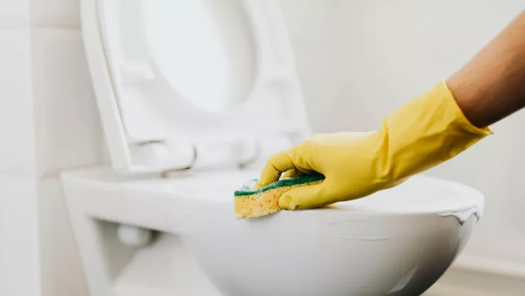 Elimina el sarro de la taza del baño con este método.