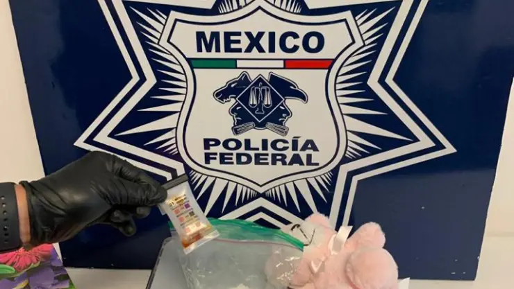 Oso de peluche con metanfetamina