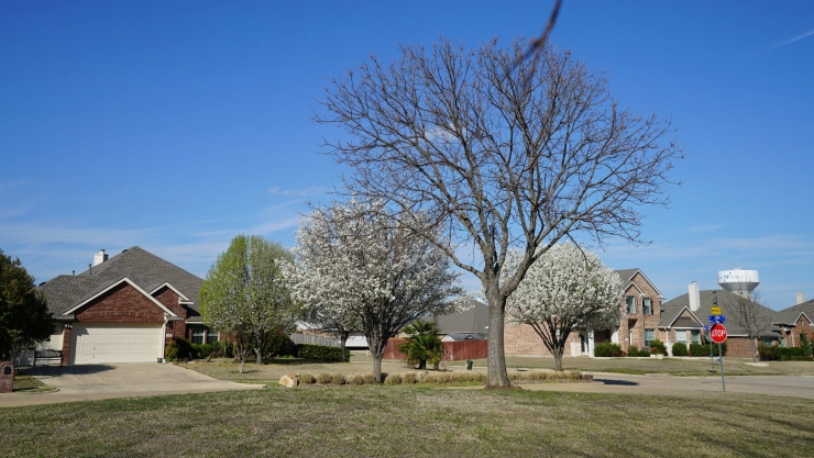 una vista de las bonitas casas en Wylie en TX.