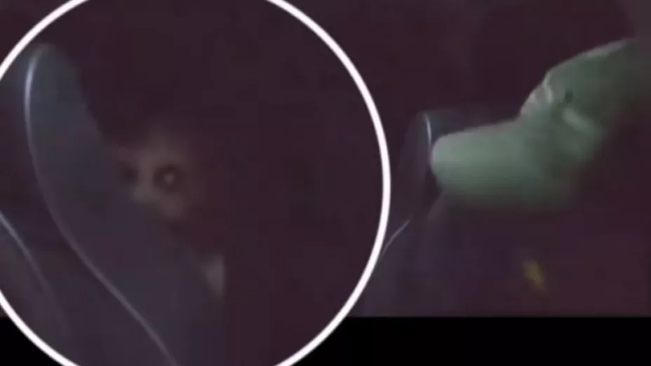 video paranormal auto asiento trasero.png