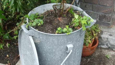 Recicla las cubetas viejas de tu casa para hacer macetas