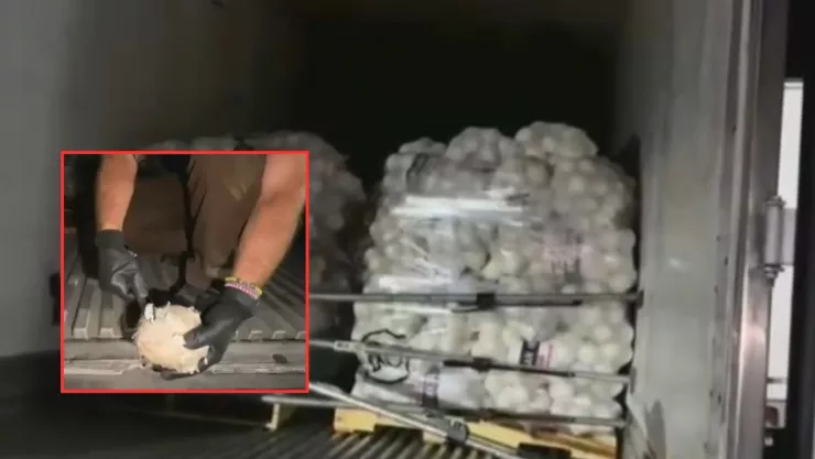 Droga oculta en cebollas: aseguran tractocamión con metanfetamina en Reynosa-San Fernando, Tamaulipas