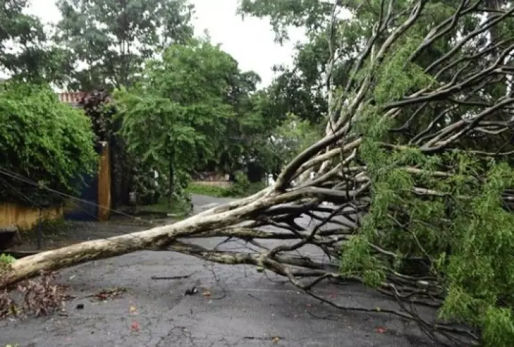 tempestad-muertos-millones-electricidad-sao-paulo-video