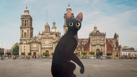 flow-zocalo-de-la-ciuda-de-mexico-gratis