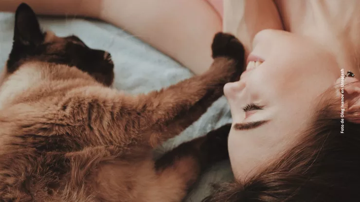 ¿Qué siente tu gato cuando lo besas?