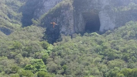 Hombre Pájaro