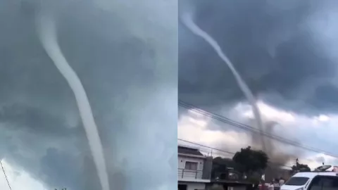 VIDEO | Se registra culebra de agua en Michoacán; ¿qué es y por qué ocurre?