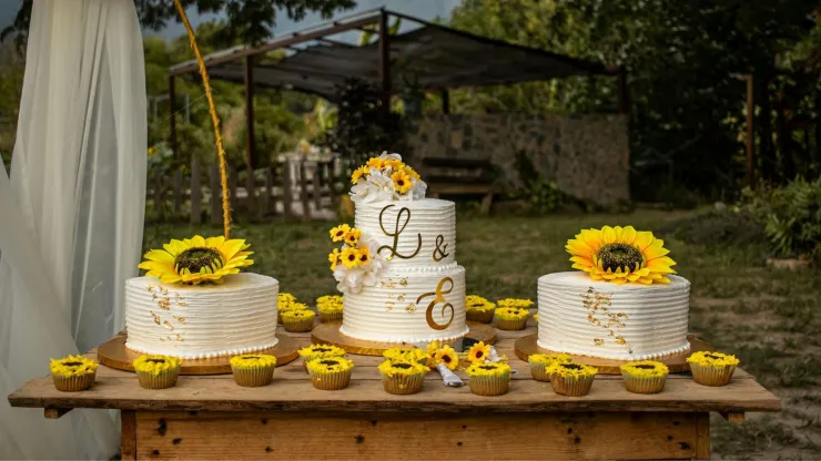49 ideas de pastel de bodas que puedes tomar como inspiración: desde sencillos hasta muy elaborados.