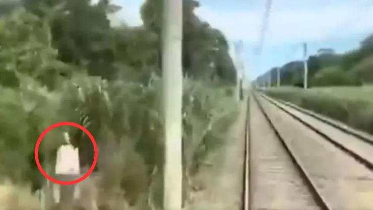 VIDEO DE MIEDO | Desde un tren captan presunto y terrorífico fantasma escondido sobre la maleza