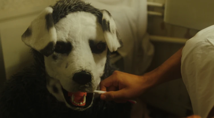 Good Boy Película 2022