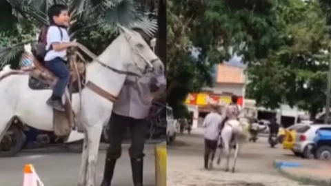 Abuelito recoge a su nieto a caballo en Colombia y enternece las redes VIDEO.png