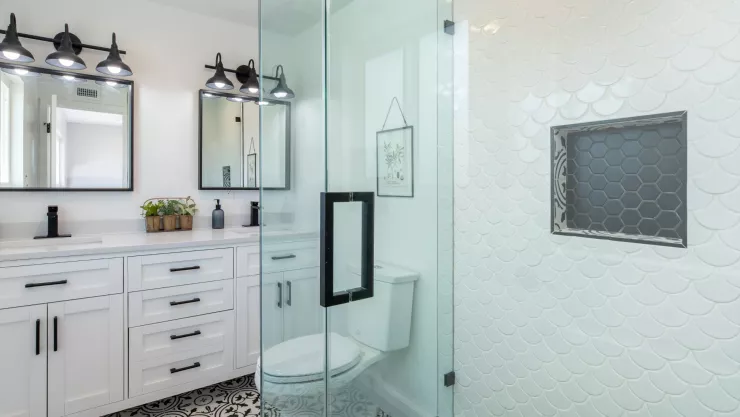 ¿Cómo eliminar el moho de la puerta de la regadera?