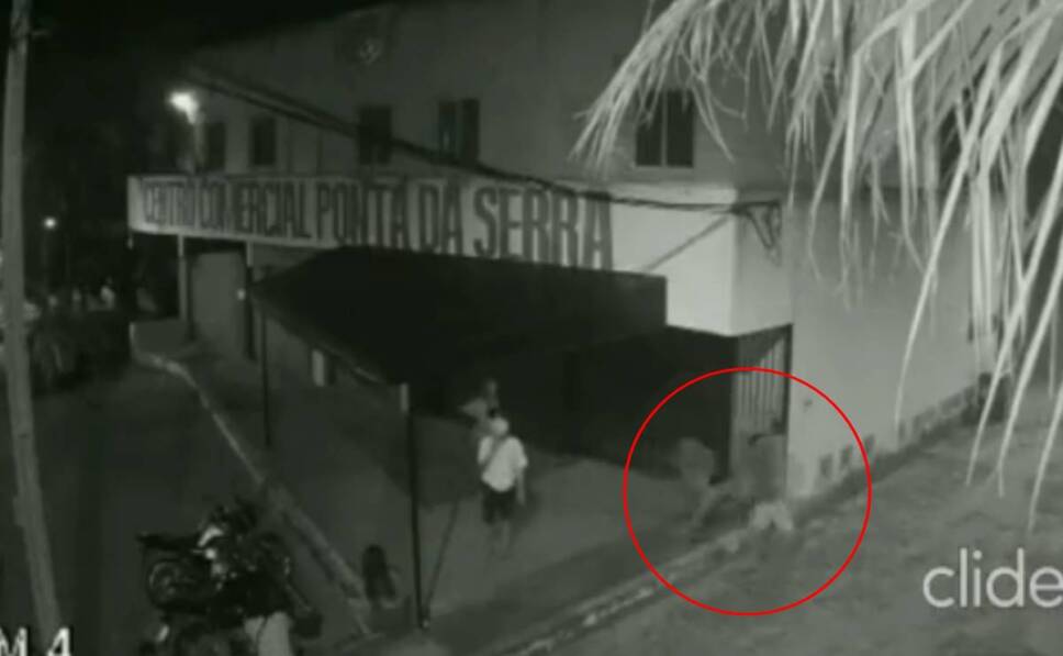 Video Abandonan a mujer ebria en la calle y un sujeto abusó de ella