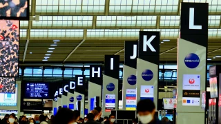 EN VIVO | Estatus de vuelos hoy 16 de noviembre 2025 en el Aeropuerto de Guadalajara; viajes cancelados y demorados