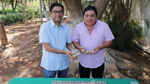 abejas reina programa estatal