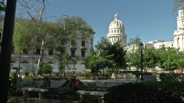 Día Mundial del Medio Ambiente Cuba planta árboles.jpg