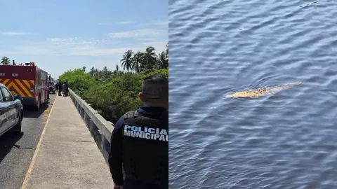 Niño muere devorado al caer a un canal de cocodrilos mientras vacacionaba con su familia en Michoacán