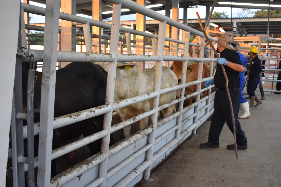 Acuerdo Mexico-EU 1 julio 2025.jpg