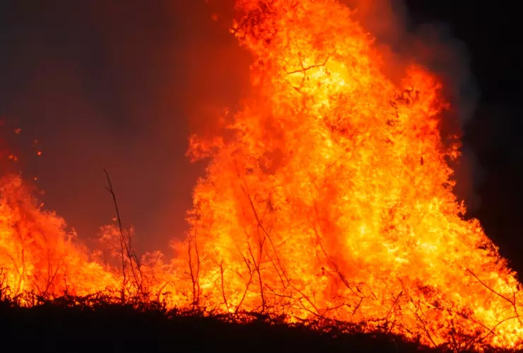 Incendio forestal en Los Ángeles, California