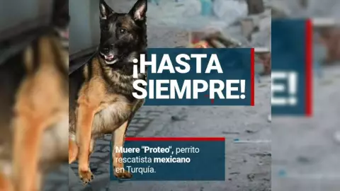 proteo regresa a mexico para su homenaje