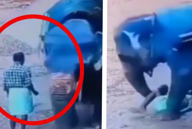 Elefante aplasta y mata a cuidador en la India