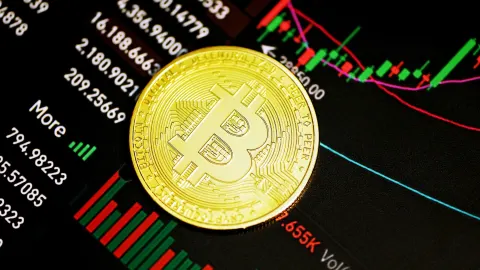 El precio de las criptomonedas como el Bitcoin es volátil debido a que es una divisa descentralizada del gobierno o bancos
