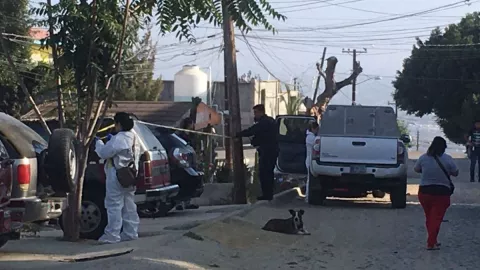 Una familia fue baleada hoy dentro de su casa en la colonia Altamira en Tijuana.