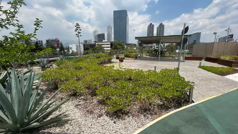 Azotea Verde Infonavit