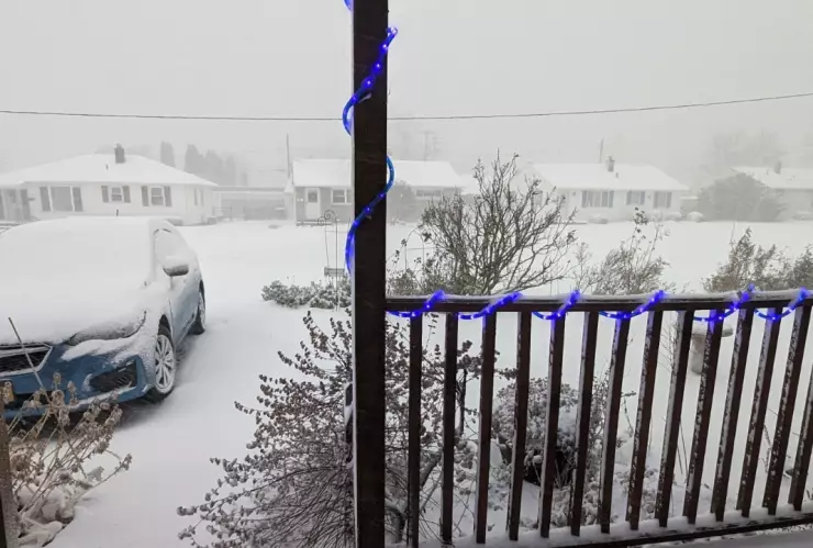 ¡Se pinta de blanco! Nueva York registra primera nevada después de 652 días