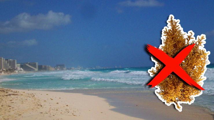 Estas son las playas sin sargazo en Quintana Roo HOY 10 de noviembre de 2025_ Cancún, Playa del Carmen, Tulum y más.webp