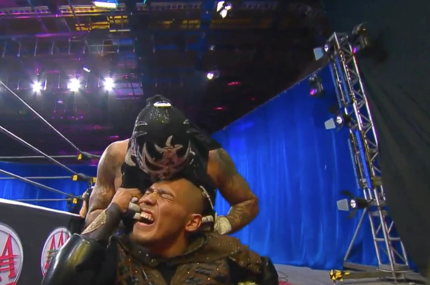 Lucha Fighter