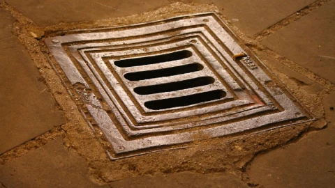 feto alcantarilla cuernavca