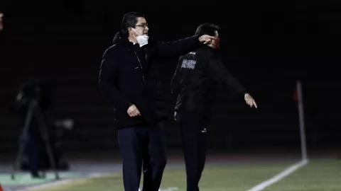 Luis Fernando Tena Juárez