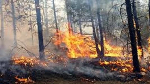 Incendios Forestales