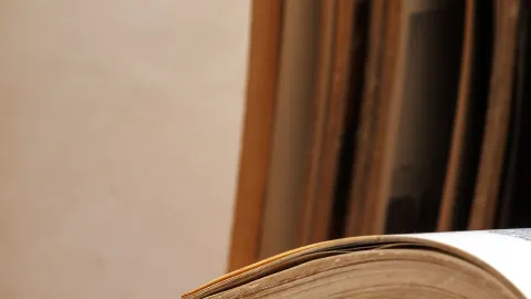 La forma correcta de deshacerte de los pececillos de plata que aparecen en tus libros
