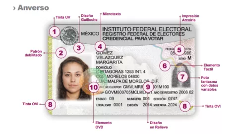 ¿Cuáles son los datos más importantes de la credencial de elector y cómo ubicarlos?