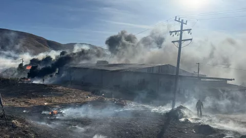 Incendio en recicladora en Tijuana hoy