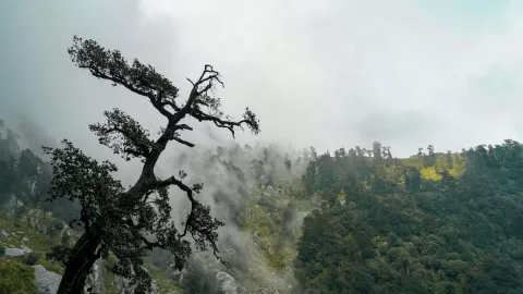 Alertan por posible regreso de La Niña en Puebla este 2025: Regiones y afectaciones