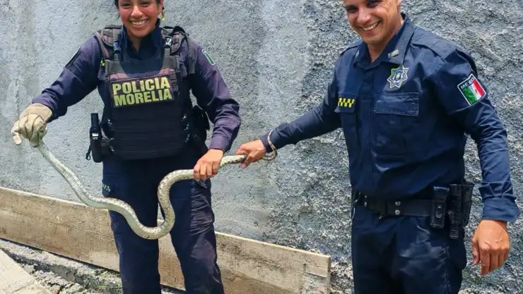 Serpiente