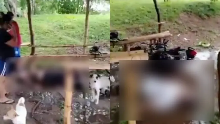 Dos jóvenes alcanzados por un rayo