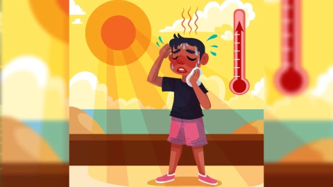 ¿Cuántas olas de calor se esperan para este 2025 en Guerrero?.jpg