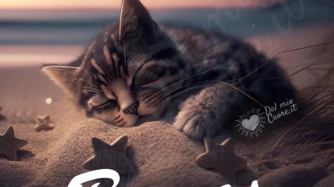 Buenas noches gatito