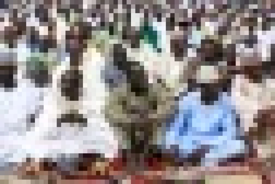 63 personas han muerto en Nigeria, tras una ola de ataques a mezquitas musulmanas en la región