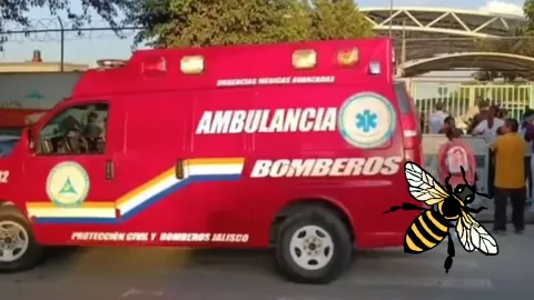 Confirman 20 alumnos de primaria lesionados tras ataque de abejas en escuela de Zapopan