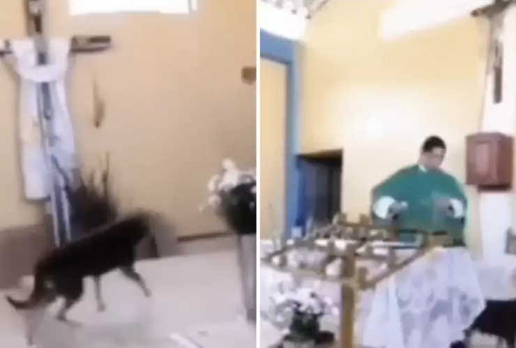 Sacerdote patea perrito.png