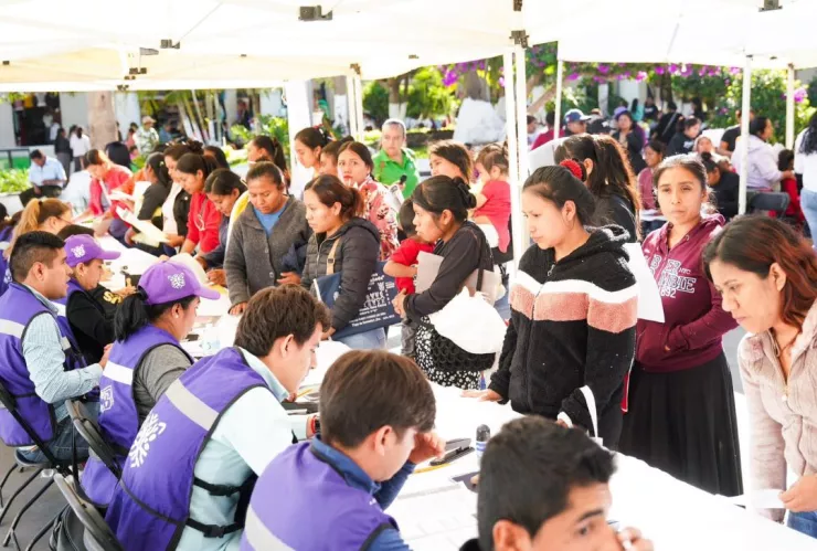 Tarjeta Violeta 2025